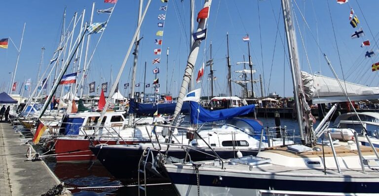 52CECF5D-7FF8-4EAC-9B29-E88833EE7103