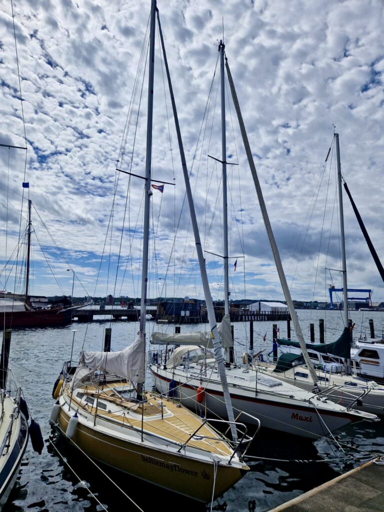 977323E7-5299-49FA-8C39-19D317A0B4FC