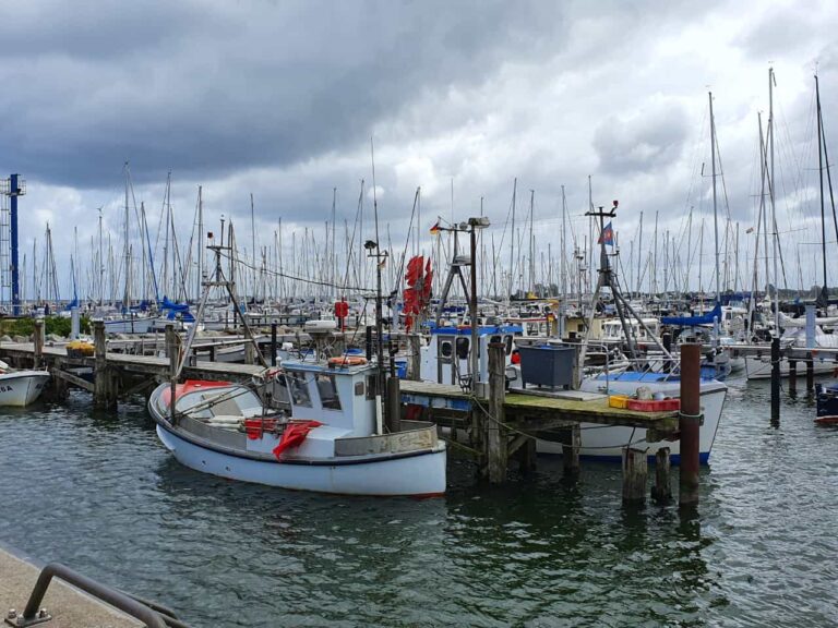 FE7D16C5-2B28-4DE5-8040-6CA50C8A4AB9